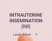 IUI Intrauterine insemination IVF