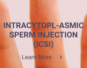 IVF intracytiop-asmic sperm injection (ICSI)