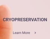 IVF Cryopreservation in Nashik